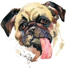 Cute Dog. Funny Puppy Watercolor Illustration