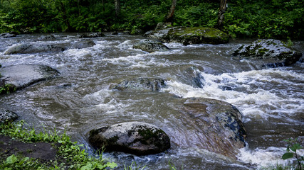 mountain river Belokurikha