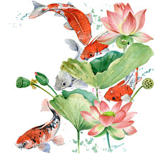 Watercolor Koi Carp And Lotus Flower Illustration.