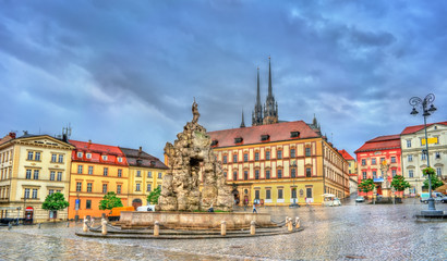 Wall Mural - Parnas Fountain on Zerny trh square in the old town of Brno, Czech Republic