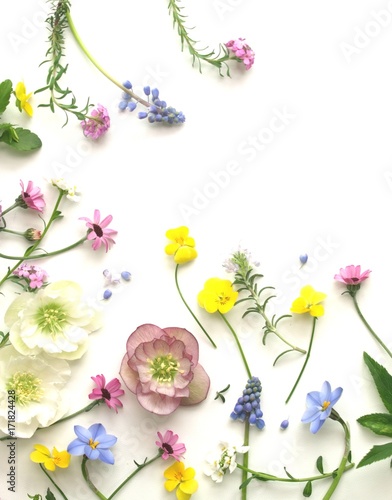 可愛い春の花の花びら 白背景 Buy This Stock Photo And Explore