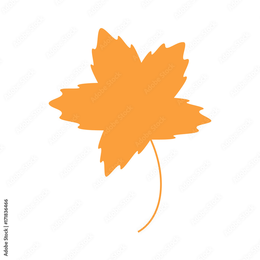 Autumn leaf vector illustration, fall orange maple leaf, graphic icon or  print, isolated on white background. Stock Vector | Adobe Stock, image size:1000x1000