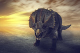 Fototapeta  - dinosaurs  - Triceratops dinosaurs toy on digital imaging like a real. with dramatic scene.

