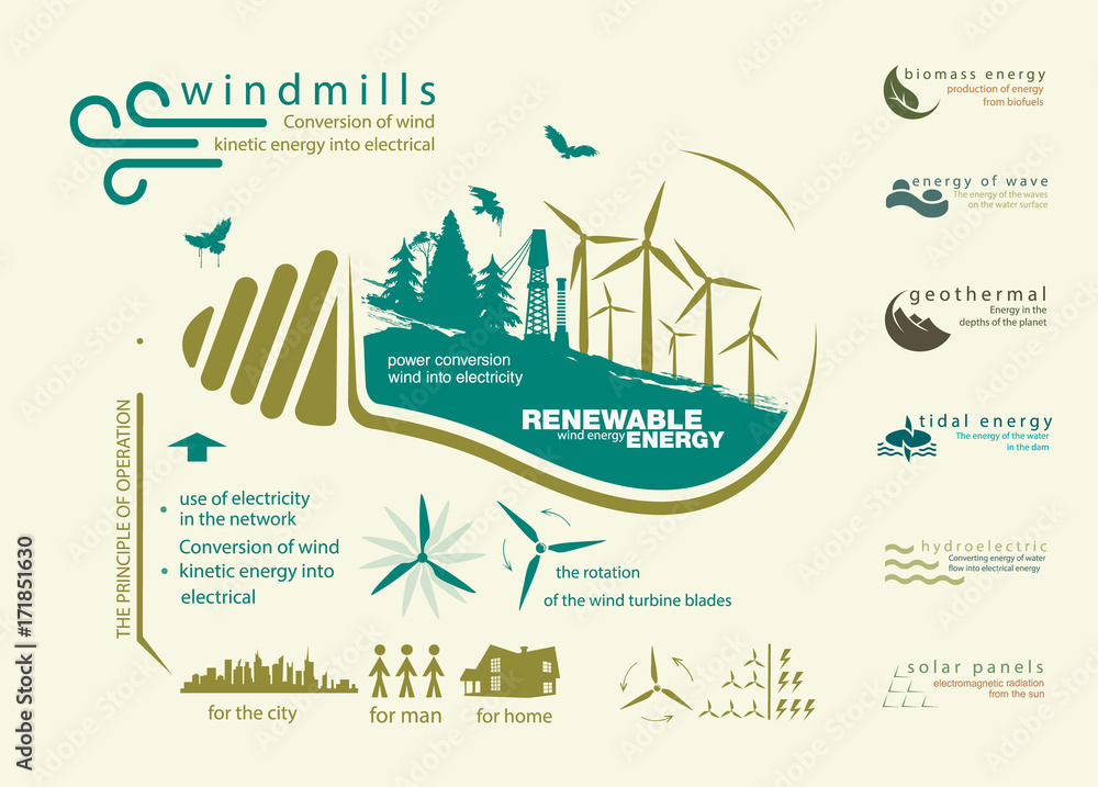 infographics renewable source of wind energy Stock Vector | Adobe Stock