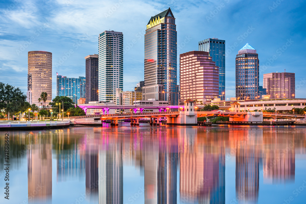 Tampa Bay, Florida, USA Skyline - obrazy, fototapety, plakaty 