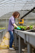 © Stocked House Studio - happy female nursery worker trimming plants in greenhouse
