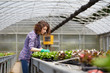 © Stocked House Studio - happy female nursery worker trimming plants in greenhouse