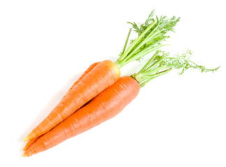 Carrot vegetable with leaves isolated on white background