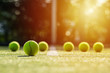 soft focus of tennis ball on tennis grass court with sunlight