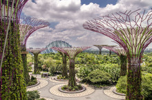 Supertree And Greenhouse At The Garden By The Bay. Singapore.
