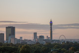 Fototapeta Big Ben - London Skyline seen from Primrose Hill.