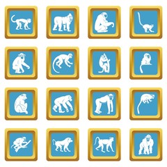 Wall Mural - Monkey types icons azure