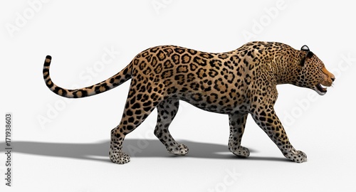Plakat Leopard (3d)