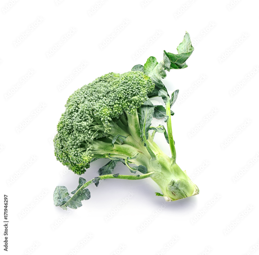 Broccoli on white background