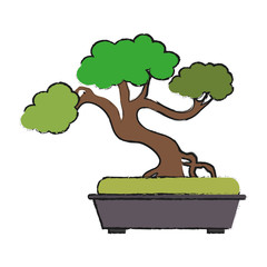 Wall Mural - bonsai tree japan related icon image vector illustration design