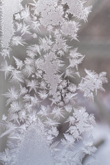 Wall Mural - Frosty pattern made of pointed snowflakes on  winter window glass.