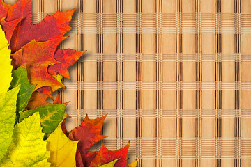 Wall Mural - autumn leaves.