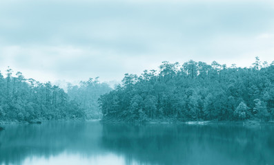 abstract background of Beautiful Foggy Reservoir among fresh forrest