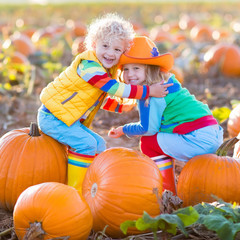 kids picking pumpkins on halloween pumpkin patch