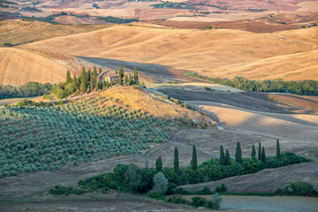 Wall Mural - beautiful typical countryside summer landscape in tuscany, italy