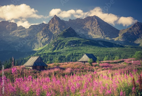 Zdjęcie XXL Tatry, krajobraz Polski, kolorowe kwiaty i domki w Gąsienicowej dolinie (Hala Gąsienicowa), lato