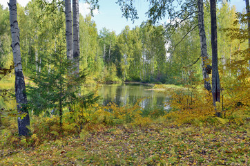 Wall Mural - Autumn landscape colorful deciduous forests on the banks of rivers, lakes.