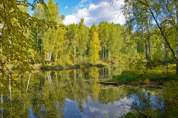 Wall Mural - autumn landscape colorful deciduous forests on the banks of rivers, lakes.