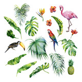 Fototapeta Sypialnia - Watercolor illustration of tropical leaves,flamingo bird and pineapple. Toucan and scarlet macaw parrot.Strelitzia reginae flower. Hand painted. Banner with tropic summertime motif. Palm leaves.