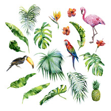 Watercolor Illustration Of Tropical Leaves,flamingo Bird And Pineapple. Toucan And Scarlet Macaw Parrot.Strelitzia Reginae Flower. Hand Painted. Banner With Tropic Summertime Motif. Palm Leaves.