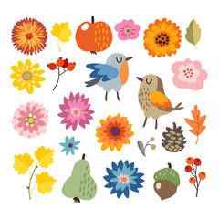 Wall Mural - set of cute hand-drawn autumn, fall elements. birds and various flowers, fruit and leaves collection