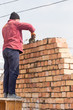 © schankz - Worker builds a brick wall in the house
