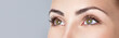 Leinwandbild Motiv Closeup shot of woman eye with day makeup. Long eyelashes