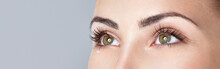 Closeup Shot Of Woman Eye With Day Makeup. Long Eyelashes