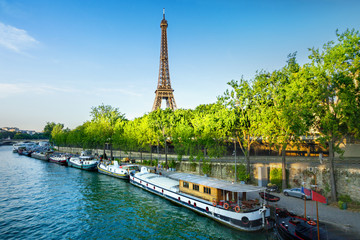 Wall Mural - paris