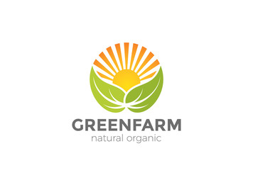 Wall Mural - Green Natural Organic Farm Logo vector. Sun Leaves circle icon