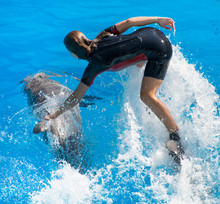 Show With Dolphins. Woman Standing On A Dolphin.