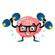 Train brain. Cute cartoon brain. Flat fun illustration character. Smart,brain fitness concept. Train lifts with dumbbell. Fitness cartoon brain concept. Doodle style. Vector illustration