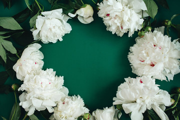 Frame wreath of white peony flowers, branches, leaves and petals with space for text on green background. Flat lay, top view. Peony flower texture.