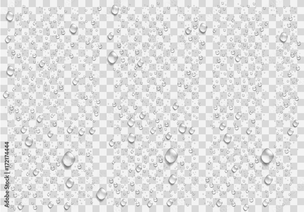 Realistic water droplets on the transparent background. Vector - obrazy, fototapety, plakaty 