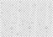 Realistic Water Droplets On The Transparent Background. Vector