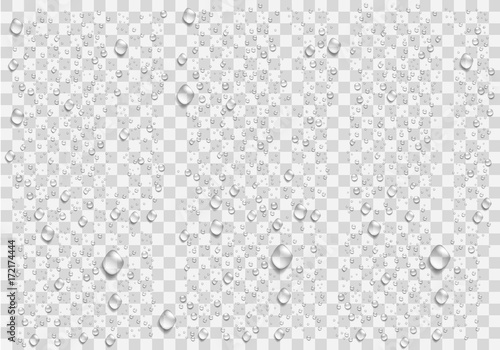 Realistic water droplets on the transparent background. Vector Poster Mural XXL