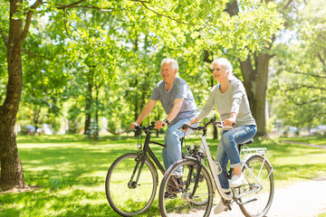 Canvas Print - Senior Couple Riding Bikes In Park

