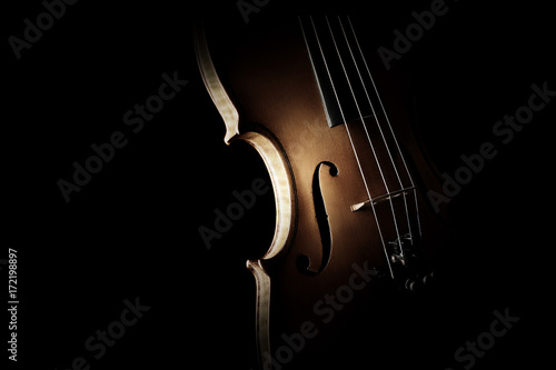 Dekoracja na wymiar  skrzypce-z-bliska-na-czarnym-tle
