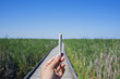  Hand holding a cannabis joint against trail and blue sky landscape