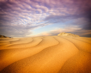 Sticker - sand desert landscape