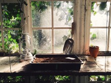 A Seed Tray Ready For Sowing Seeds In An Old Greenhouse.