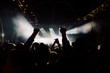 © Boris Jovanovic/Stocksy - Large group of people dancing in the club