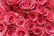© Pixel Stories/Stocksy - Pink roses background