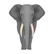 The elephant, the biggest wild animal. African elephant with tusks single icon in cartoon style vector symbol stock illustration web.