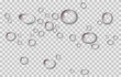 Realistic vector water droplets or dewy surface. Vector graphic on isolated transparent background. The droplets can be moved independently of each other.
